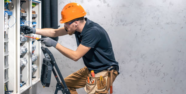 Best Electric Panel Repair  in Pulaski, VA
